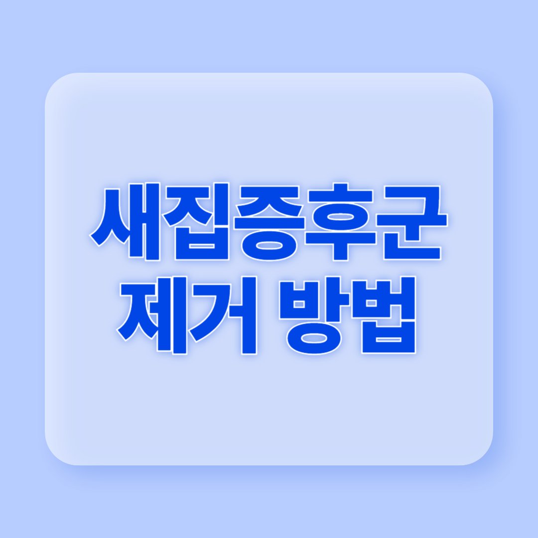 새집증후군 제거방법